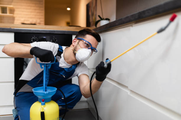 Best Flea Control Services  in Van Vleck, TX