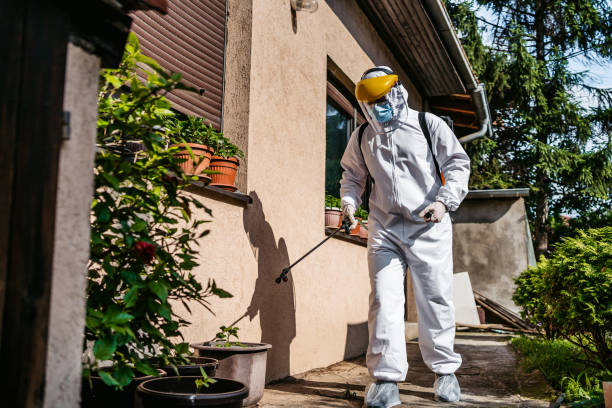 Best Residential Pest Control  in Van Vleck, TX
