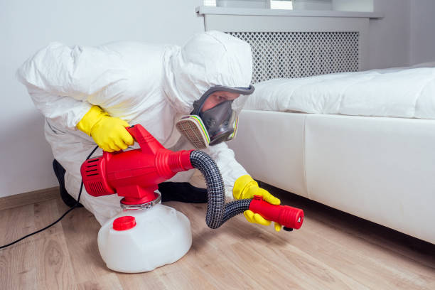 Reliable Van Vleck, TX Pest Control Solutions