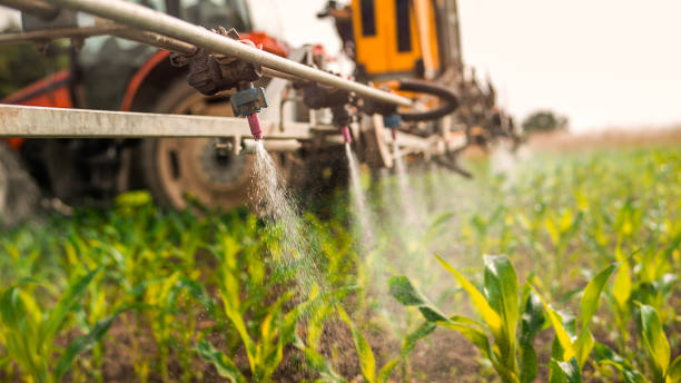 Best Commercial Pest Control Services  in Van Vleck, TX